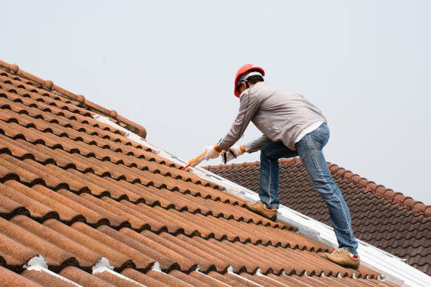 Best Roof Insulation Installation  in Waikoloa Village, HI